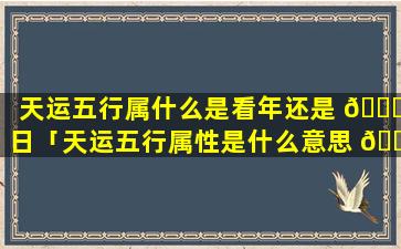 天运五行属什么是看年还是 🐕 日「天运五行属性是什么意思 🌷 」
